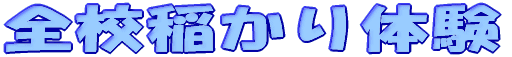 ̌ 