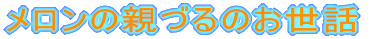 ̐eÂ̂b