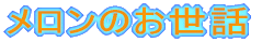 ̐eÂ̂b