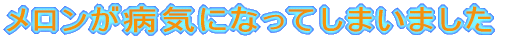 ̐eÂ̂b