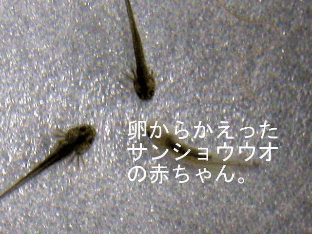 03.jpg